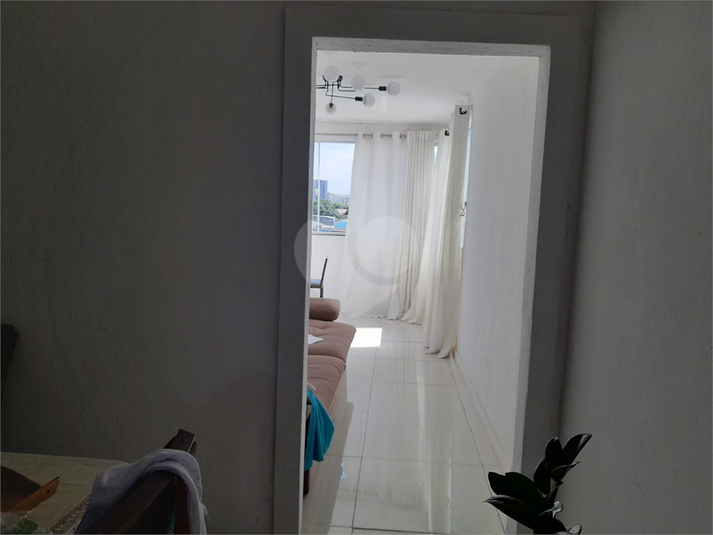 Foto REO1086192