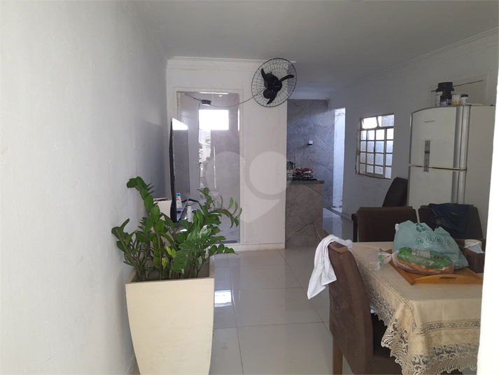Foto REO1086192