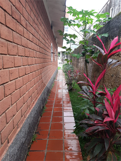 Foto REO1086194
