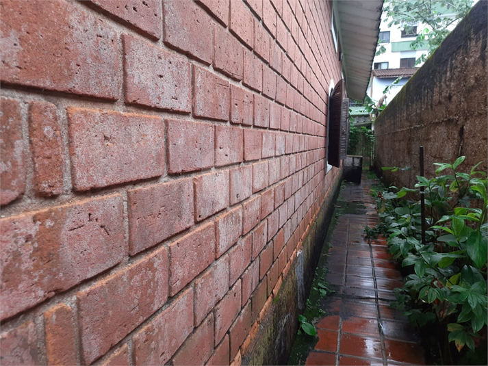 Foto REO1086194