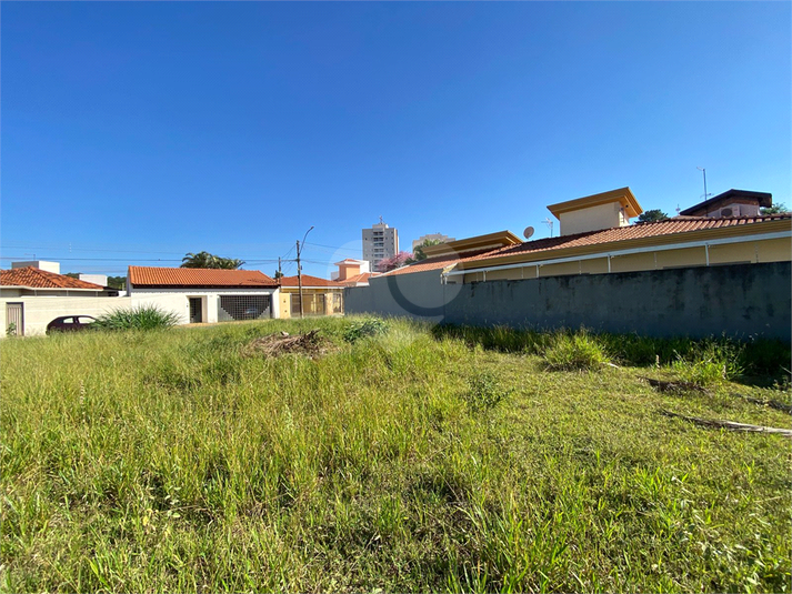 Foto REO1086225