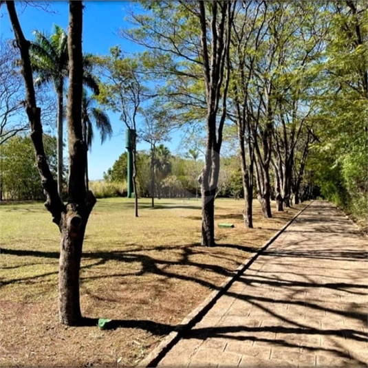 Foto REO1086226