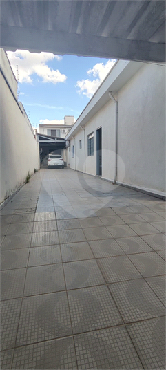 Foto REO1086229