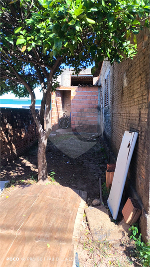 Foto REO1086234