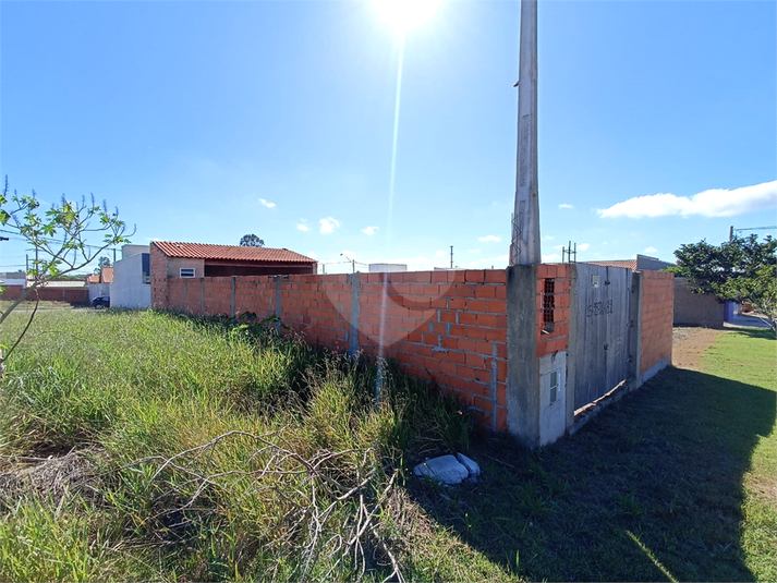 Foto REO1086238