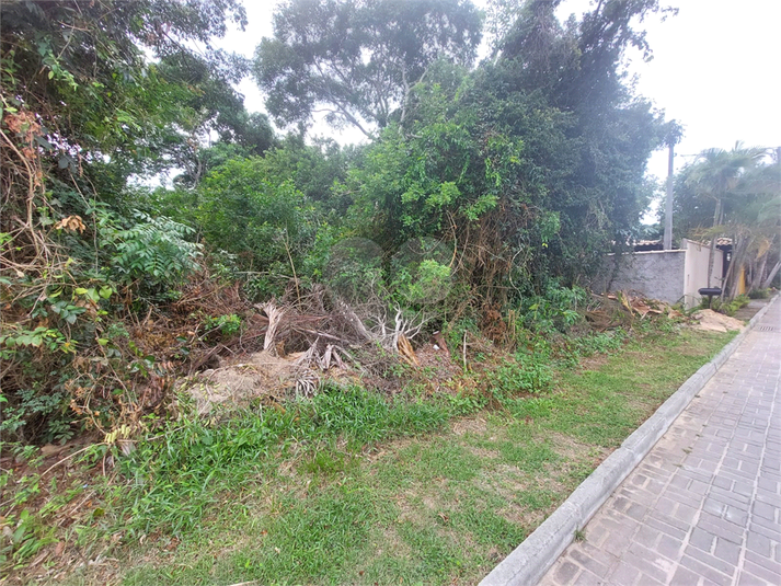 Foto REO1086245