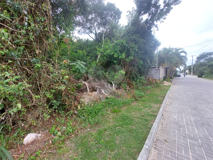 Foto REO1086245