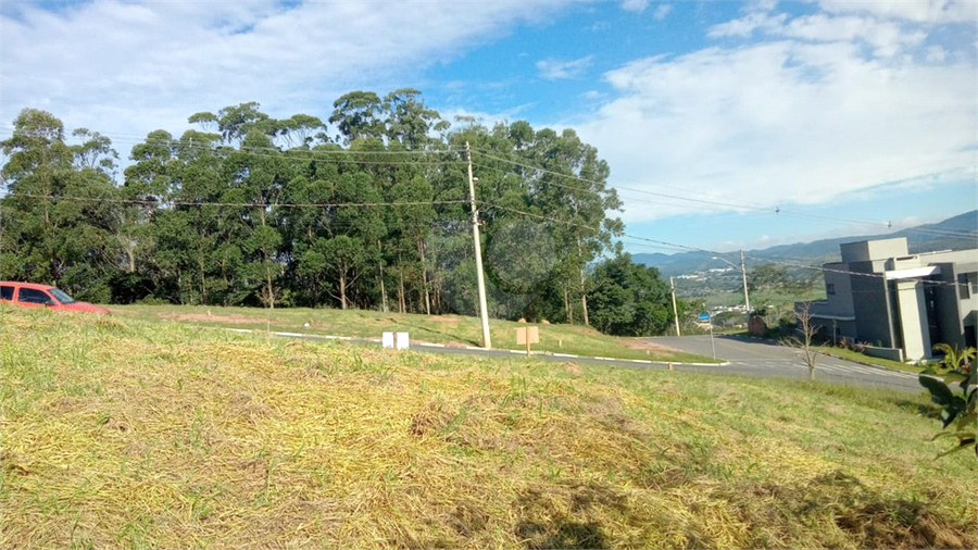 Foto REO1086251