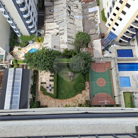 Foto REO1086260