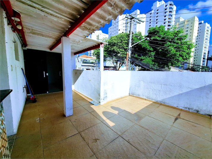 Foto REO1086274
