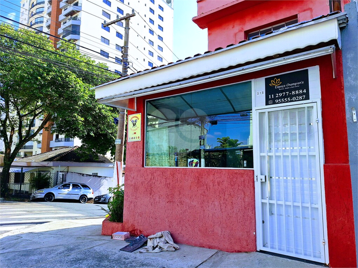 Foto REO1086274