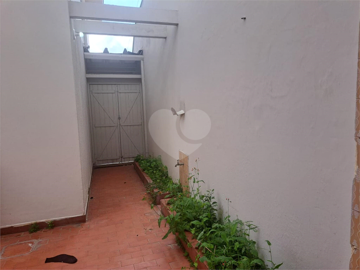 Foto REO1086287