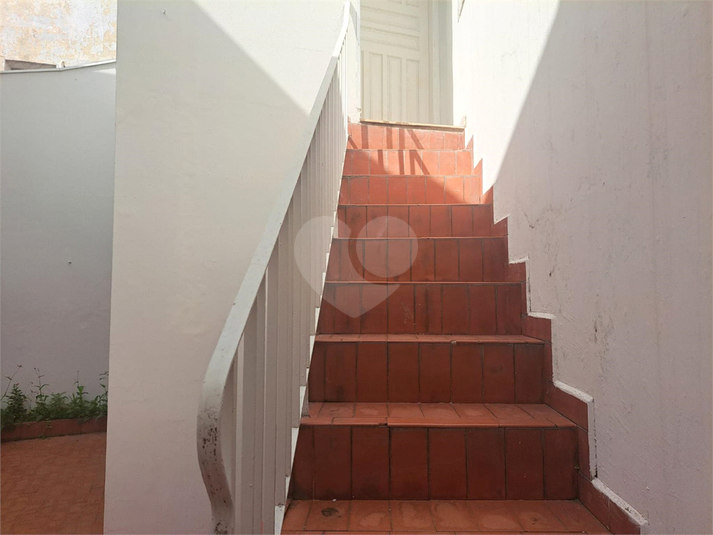 Foto REO1086287