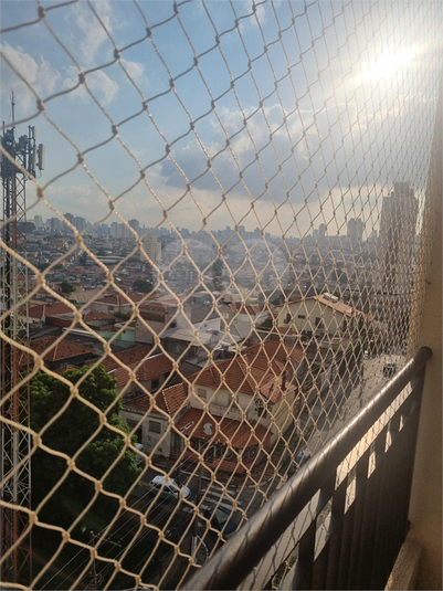 Foto REO1086296
