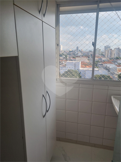 Foto REO1086296