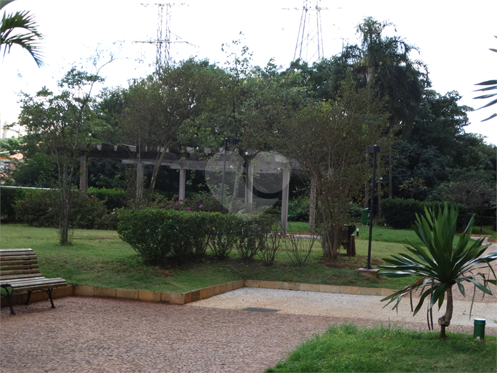 Foto REO1086301