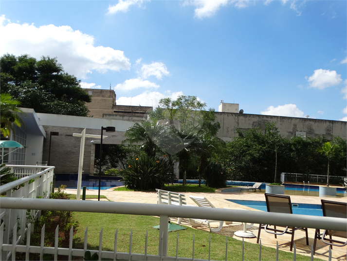 Foto REO1086301