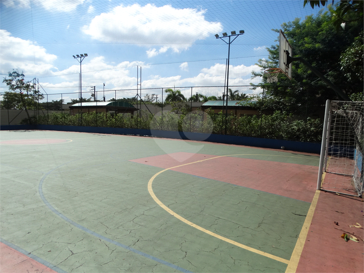 Foto REO1086301