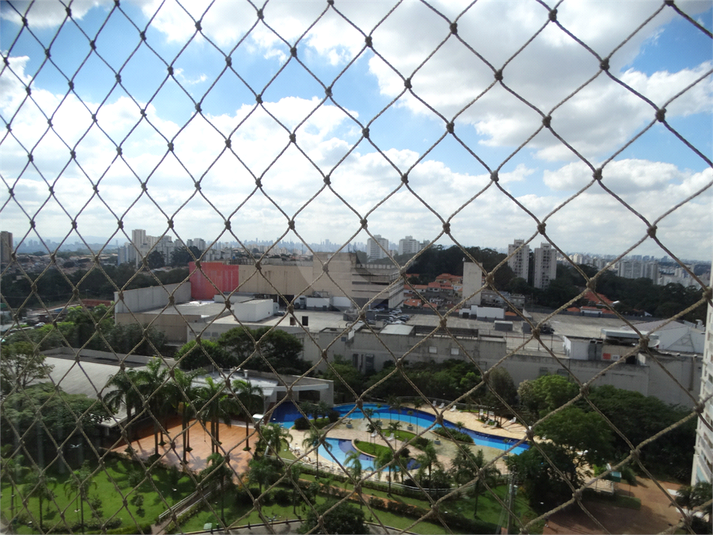 Foto REO1086301