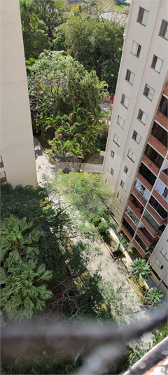 Foto REO1086306