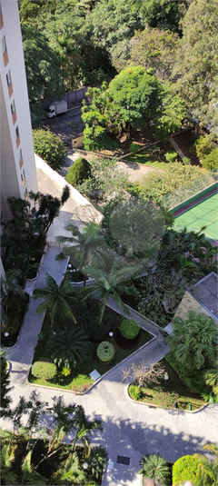 Vista do verde