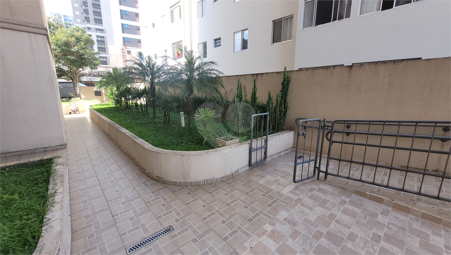 Foto REO1086311