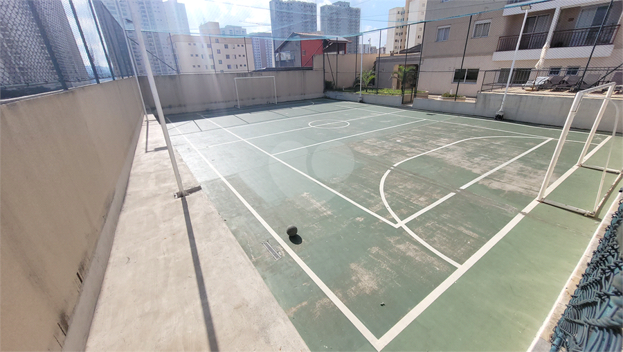 Foto REO1086311