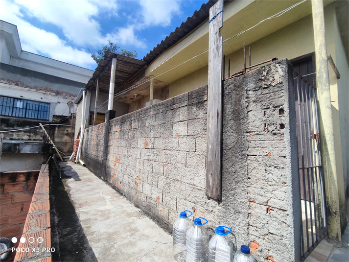 Foto REO1086323
