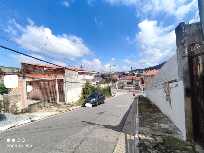 Foto REO1086323