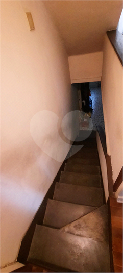 Foto REO1086330