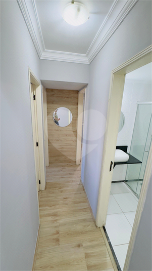 Foto REO1086342