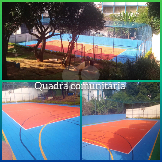 Foto REO1086345