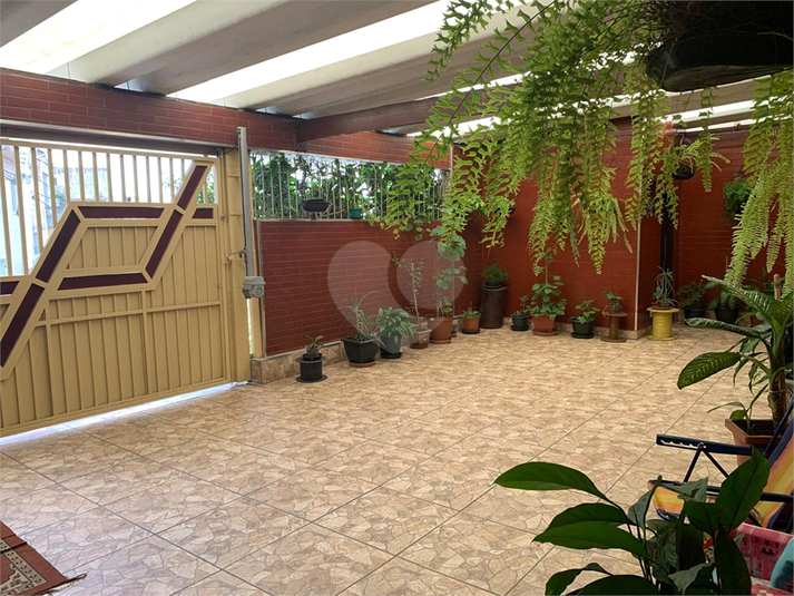 Foto REO1086349