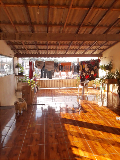 Foto REO1086360