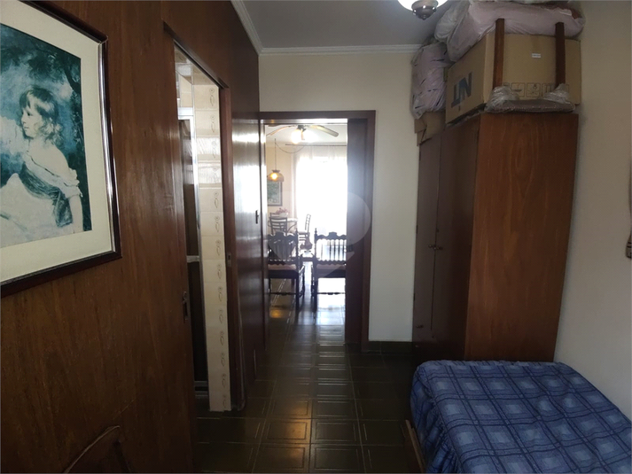 Foto REO1086363