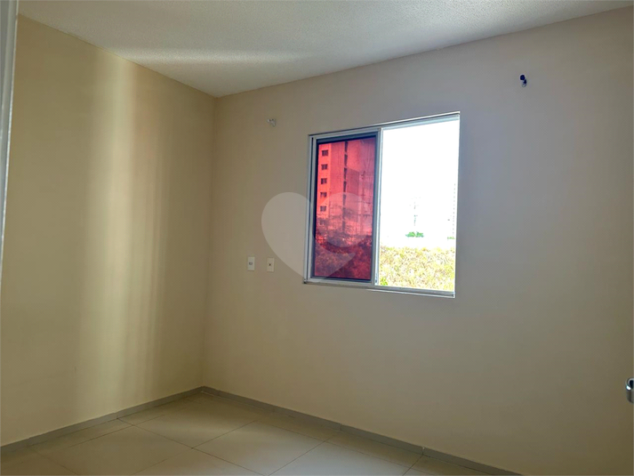 Foto REO1086367