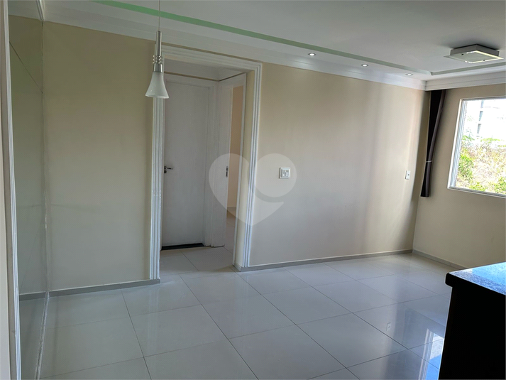 Foto REO1086367