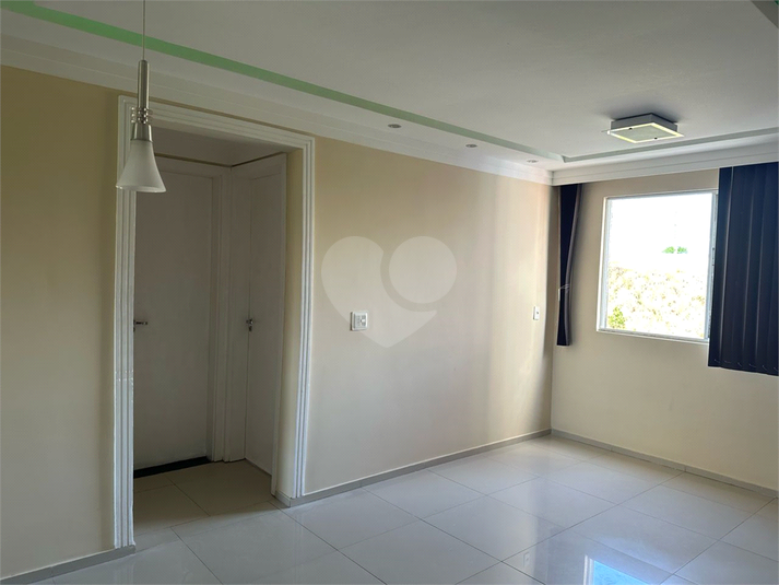 Foto REO1086367