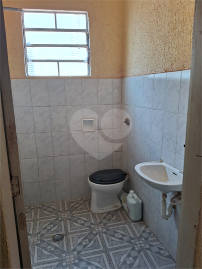 Foto REO1086451