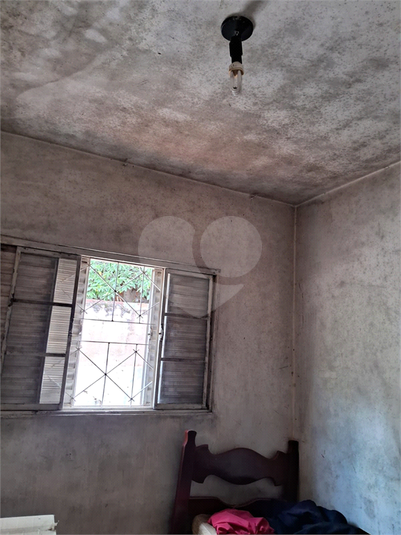 Foto REO1086451