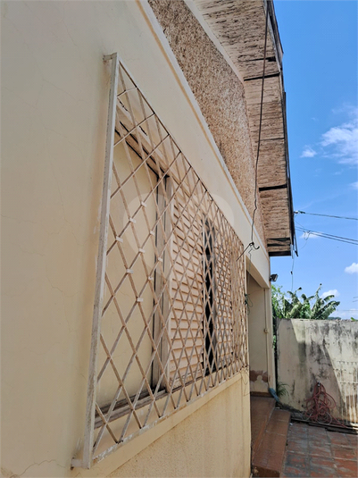 Foto REO1086451