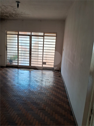 Foto REO1086451