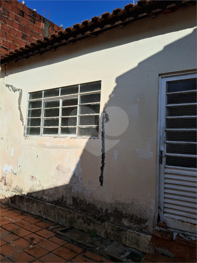 Foto REO1086451