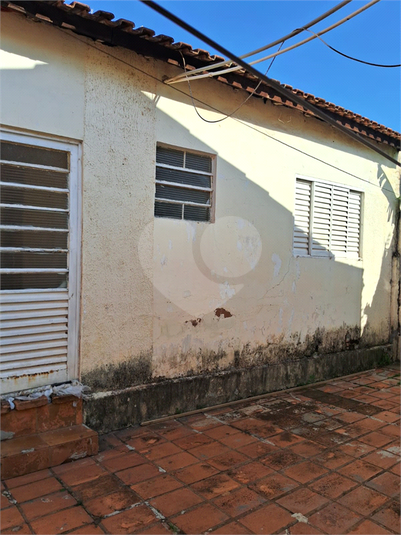 Foto REO1086451