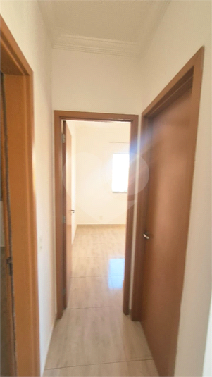 Foto REO1086453