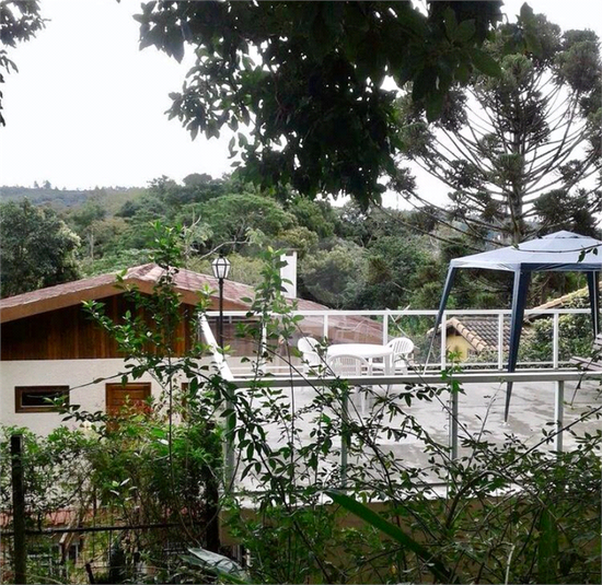 Foto REO1086458