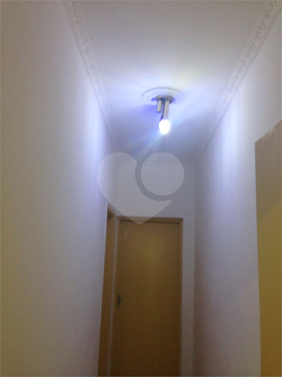 Foto REO1086476
