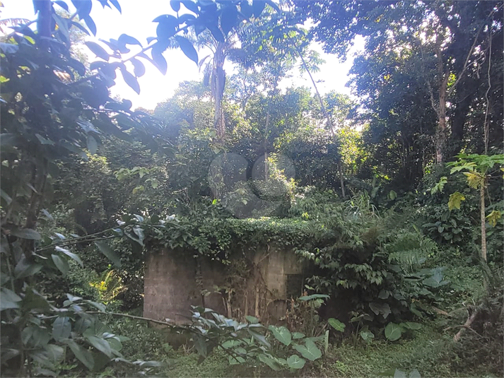 Foto REO1086479
