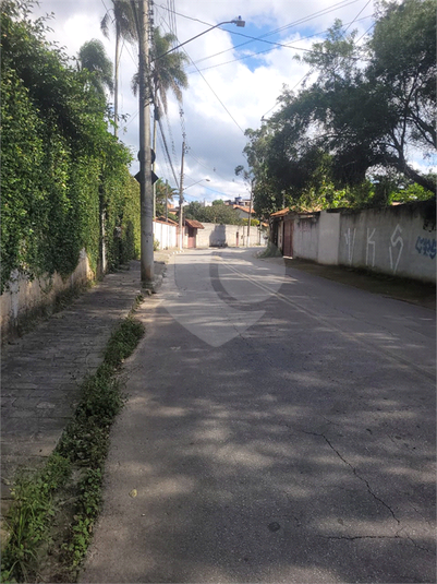 Foto REO1086479