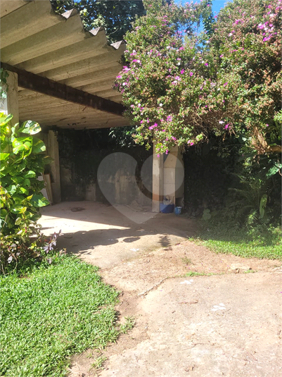 Foto REO1086479